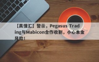 【真懂汇】警示，Pegasus Trading与Mabicon合作收割，小心本金风险！