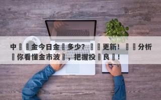 中國黃金今日金價多少？實時更新！專業分析帶你看懂金市波動，把握投資良機！