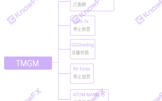 TMGM suspected funding routine, scam investors enter the funds