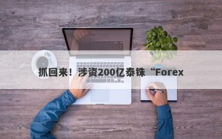 抓回来！涉资200亿泰铢“Forex