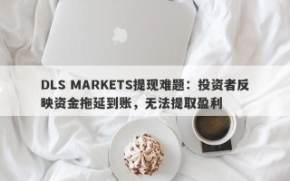 DLS MARKETS提现难题：投资者反映资金拖延到账，无法提取盈利