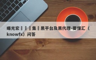 曝光宏煒國際集團黑平台及黑代理-要懂汇（knowfx）问答