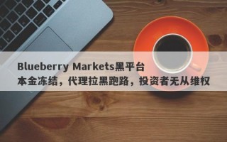 Blueberry Markets黑平台本金冻结，代理拉黑跑路，投资者无从维权