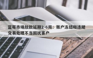 蓝莓市场放款延期2-6周：账户冻结和违规交易处理不当困扰客户