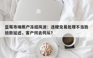 蓝莓市场账户冻结风波：违规交易处理不当致放款延迟，客户何去何从？