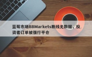 蓝莓市场BBMarkets断线无数据，投资者订单被强行平仓