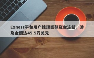 Exness平台用户惊现巨额资金冻结，涉及金额达45.5万美元