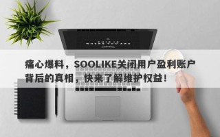 痛心爆料，SOOLIKE关闭用户盈利账户背后的真相，快来了解维护权益！