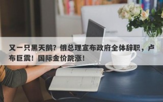 又一只黑天鹅？俄总理宣布政府全体辞职，卢布巨震！国际金价跳涨！