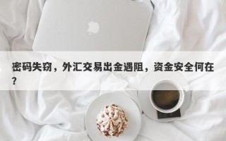 密码失窃，外汇交易出金遇阻，资金安全何在？