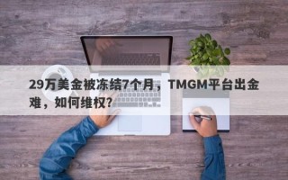 29万美金被冻结7个月，TMGM平台出金难，如何维权？