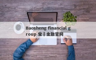 Baosheng financial group 宝昇金融官网