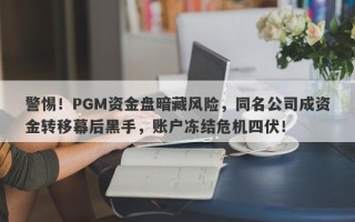 警惕！PGM资金盘暗藏风险，同名公司成资金转移幕后黑手，账户冻结危机四伏！