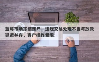 蓝莓市场冻结账户：违规交易处理不当与放款延迟并存，客户操作受限