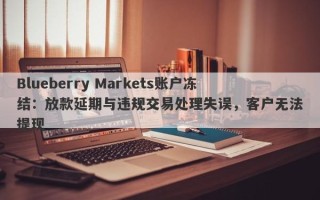 Blueberry Markets账户冻结：放款延期与违规交易处理失误，客户无法提现