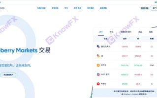 O BlueBerry Market BBMarkets está preso em fundos com as mesmas raízes que a empresa de fraude oitocap?Os fundos dos investidores são urgentes!