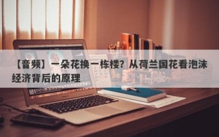 【音频】一朵花换一栋楼？从荷兰国花看泡沫经济背后的原理