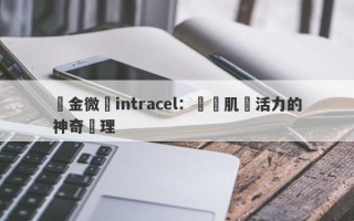 黃金微針intracel：煥發肌膚活力的神奇護理