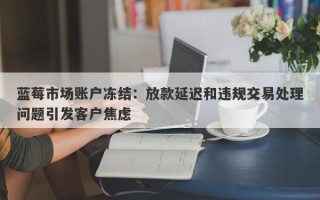 蓝莓市场账户冻结：放款延迟和违规交易处理问题引发客户焦虑