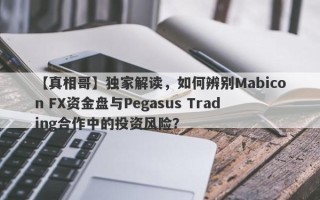 【真相哥】独家解读，如何辨别Mabicon FX资金盘与Pegasus Trading合作中的投资风险？