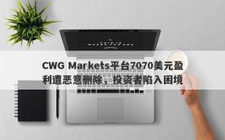 CWG Markets平台7070美元盈利遭恶意删除，投资者陷入困境