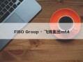 FIBO Group · 飞博集团mt4