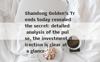 Shandong Golden's Trends today revealed the secret: detailed analysis of the pulse, the investment direction is clear at a glance