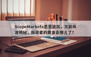 ScopeMarkets恶意退出，欠薪风波揭秘，投资者的黄金去哪儿了？