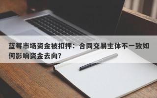 蓝莓市场资金被扣押：合同交易主体不一致如何影响资金去向？