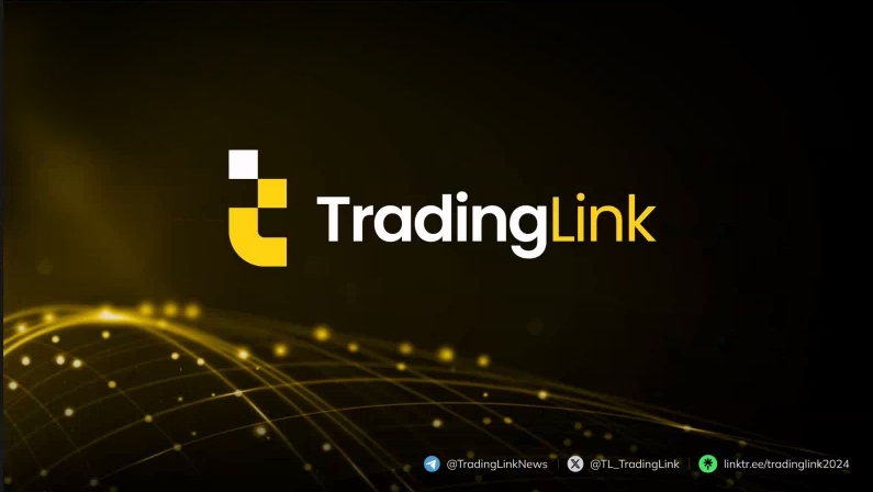 [Phỏng vấn] Con đường giao dịch ưu tú, Knowfx Thái Lan Bangkok Phỏng vấn TradingLink, mở khóa chương mới của lợi thế giao dịch!-第16张图片-要懂汇