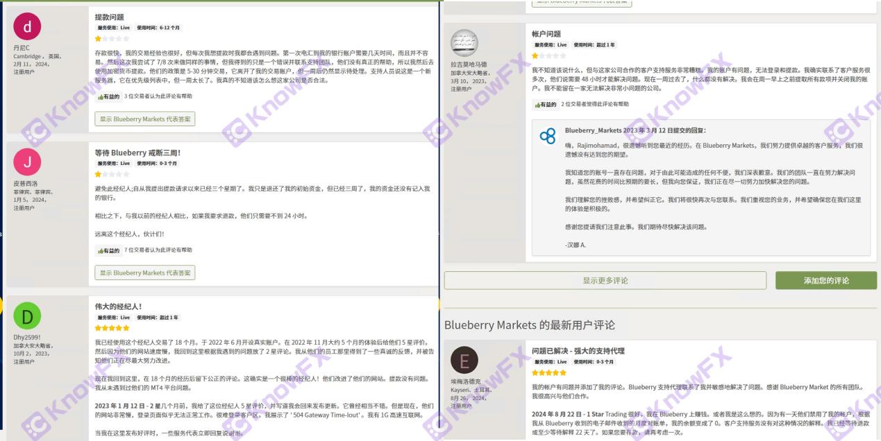 Blueberry Market Bbmarket terperangkap dalam dana dengan akar yang sama seperti syarikat penipuan Eightcap?Dana pelabur adalah mendesak!-第18张图片-要懂汇