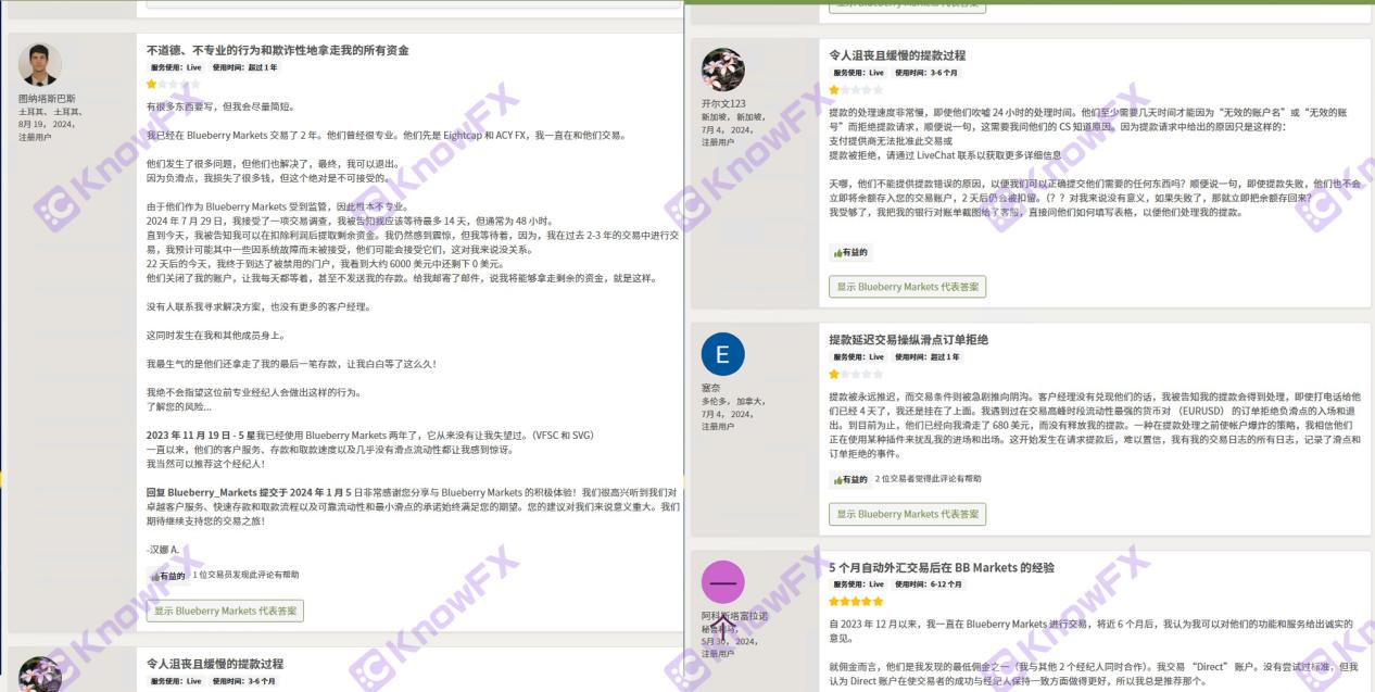 Blueberry Market Bbmarket terperangkap dalam dana dengan akar yang sama seperti syarikat penipuan Eightcap?Dana pelabur adalah mendesak!-第19张图片-要懂汇
