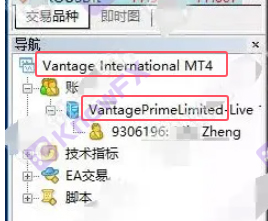 À la surface de la plate-forme Vantage, la supervision offshore de Cayman, mais a été révélé que les investisseurs ont été révélés utiliser des entités de Hong Kong non régulatrices récoltant des clients chinois?-第15张图片-要懂汇