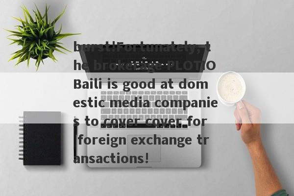 burst!Fortunately, the brokerage PLOTIO Baili is good at domestic media companies to cover cover for foreign exchange transactions!-第1张图片-要懂汇