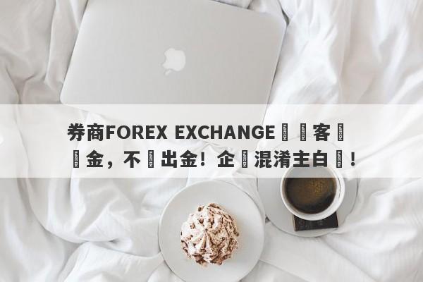 券商FOREX EXCHANGE凍結客戶資金，不給出金！企圖混淆主白標！-第1张图片-要懂汇