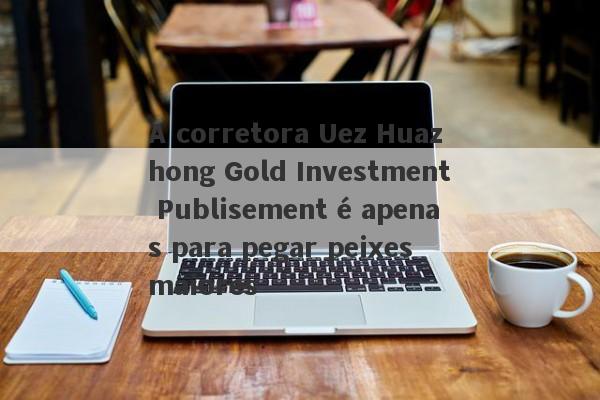 A corretora Uez Huazhong Gold Investment Publisement é apenas para pegar peixes maiores-第1张图片-要懂汇