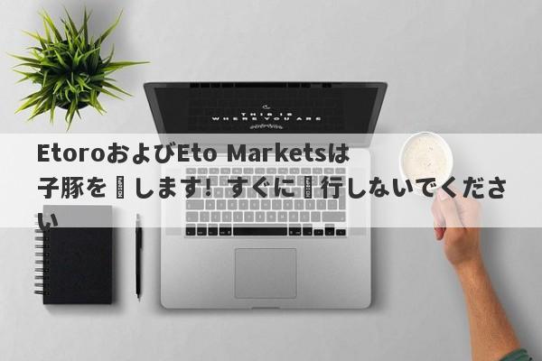 EtoroおよびEto Marketsは子豚を殺します！すぐに実行しないでください-第1张图片-要懂汇