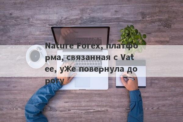 Nature Forex, платформа, связанная с Vatee, уже повернула дорогу-第1张图片-要懂汇