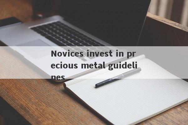 Novices invest in precious metal guidelines-第1张图片-要懂汇