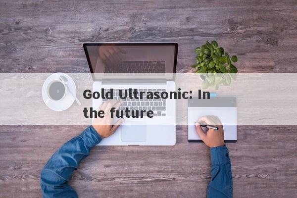 Gold Ultrasonic: In the future-第1张图片-要懂汇