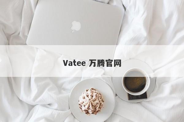 Vatee 万腾官网-第1张图片-要懂汇