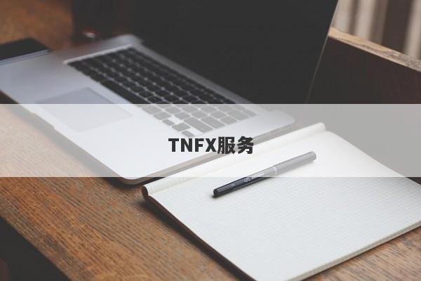 TNFX服务-第1张图片-要懂汇