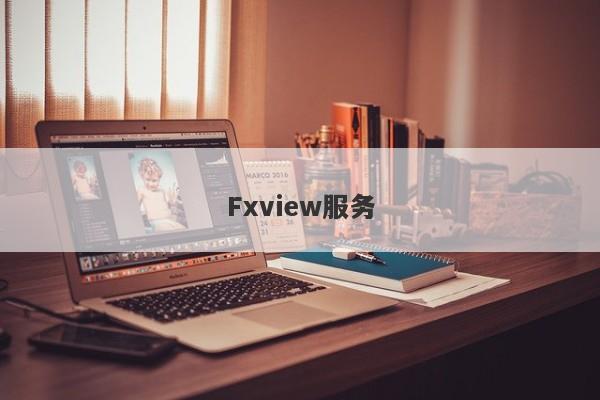 Fxview服务-第1张图片-要懂汇