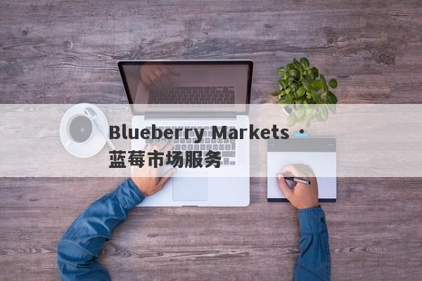 Blueberry Markets · 蓝莓市场服务-第1张图片-要懂汇