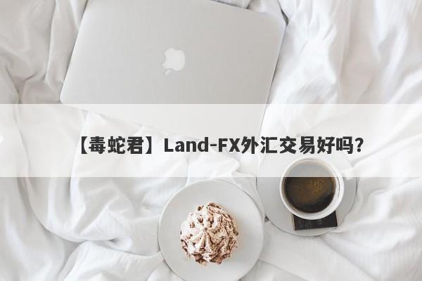 【毒蛇君】Land-FX外汇交易好吗？
-第1张图片-要懂汇