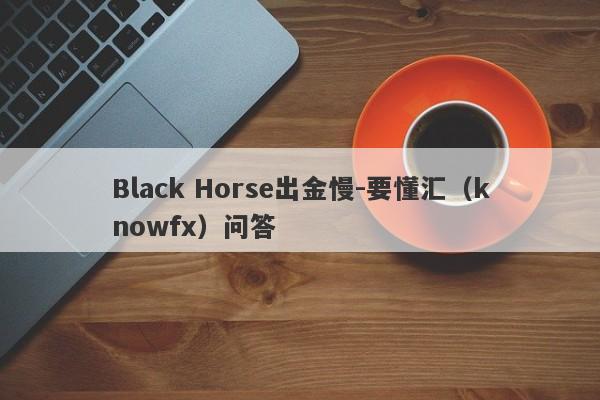 Black Horse出金慢-要懂汇（knowfx）问答-第1张图片-要懂汇