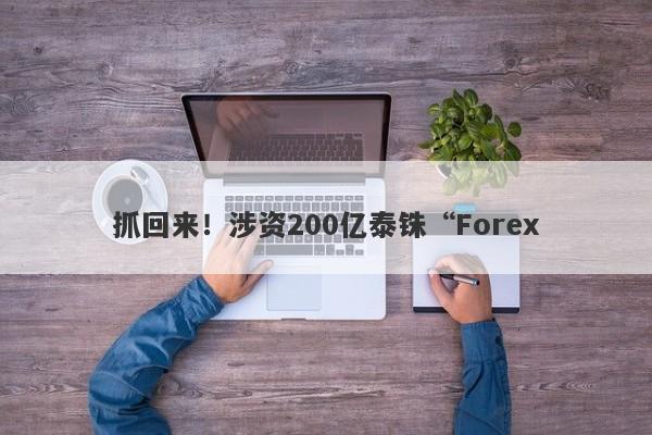 抓回来！涉资200亿泰铢“Forex-第1张图片-要懂汇