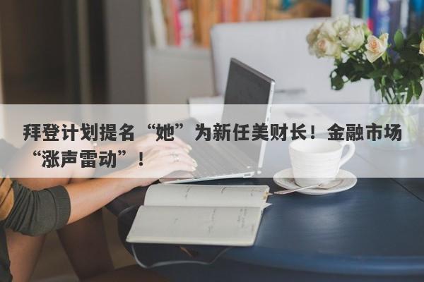 拜登计划提名“她”为新任美财长！金融市场“涨声雷动”！-第1张图片-要懂汇