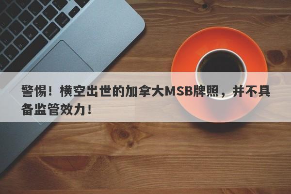 警惕！横空出世的加拿大MSB牌照，并不具备监管效力！-第1张图片-要懂汇