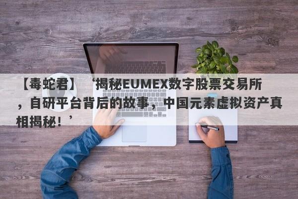 【毒蛇君】‘揭秘EUMEX数字股票交易所，自研平台背后的故事，中国元素虚拟资产真相揭秘！’-第1张图片-要懂汇